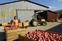 ferme-pomme.jpg